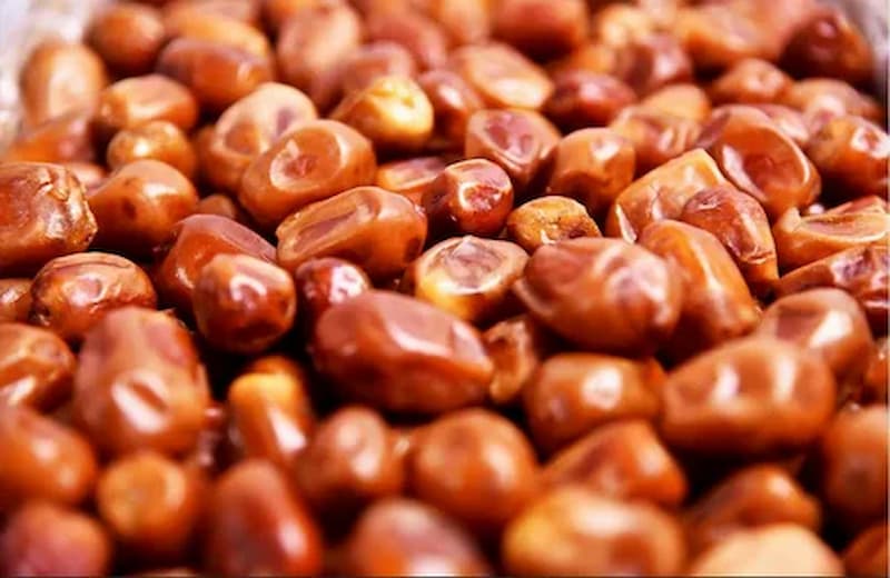 خرما زاهدی خوزستان با طعم شیرین و بافت دلپذیر